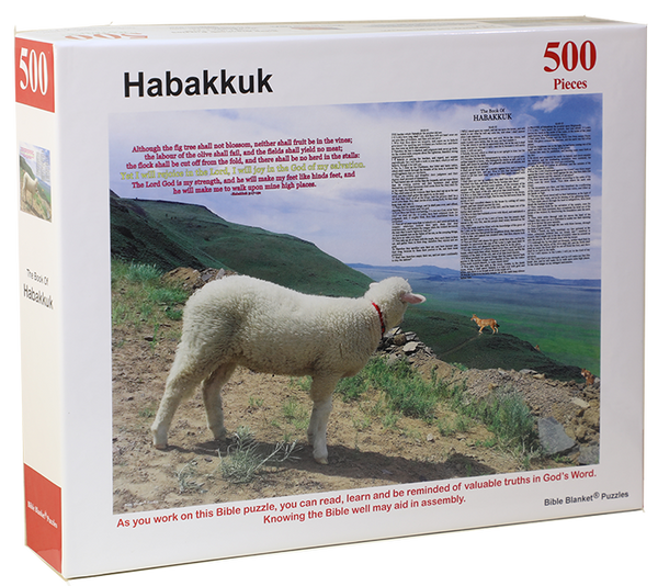 Complete puzzle collection: every Bible Puzzle made currently ...