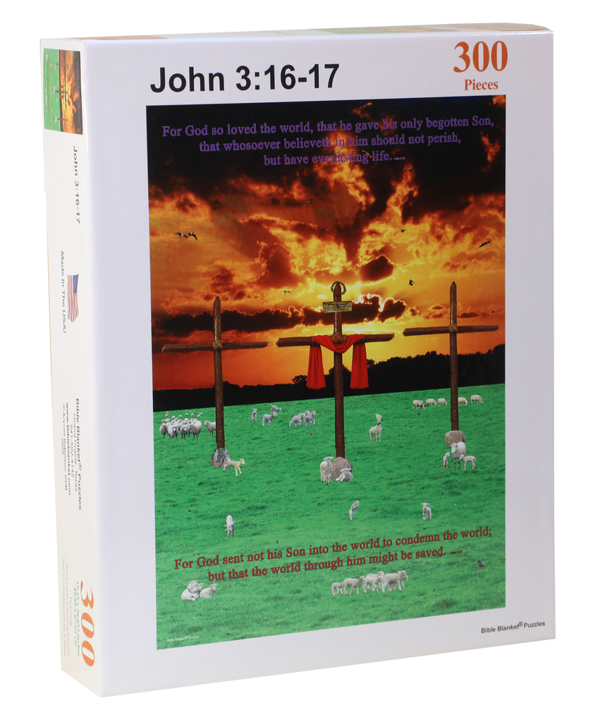 John 3:16-17 - 300 Piece Puzzle